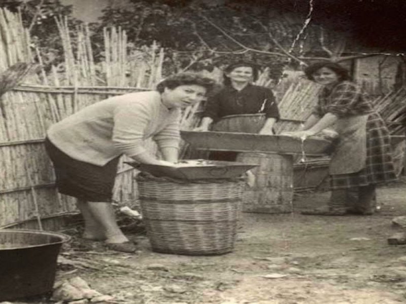 Της μάνας σου το μπουγαδοκόφινο! …πιθανώς και της θειάς σου! (γιατί το λέμε - τι σημαίνει;)