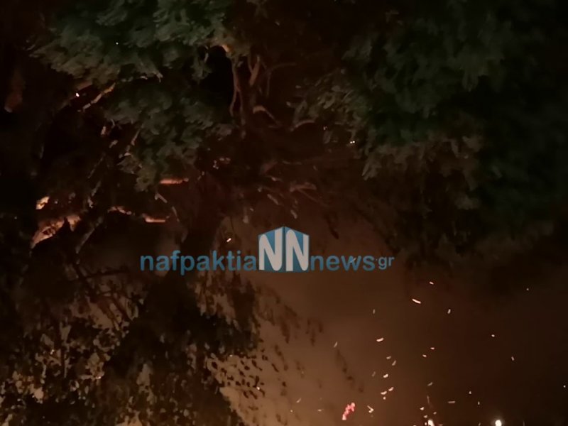 Φωτιά στη Μονή Βαρνάκοβας - Κάηκαν ιερά κειμήλια, η εικόνα και το Ευαγγέλιο (Βίντεο)