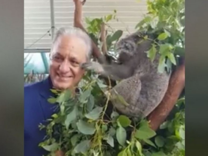 Κοάλα ρίχνει ξεγυρισμένη φάπα σε βουλευτή  (video)
