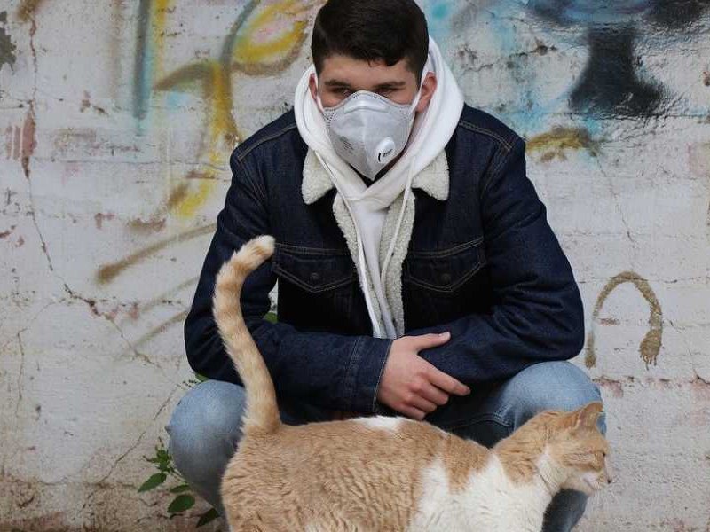 6.667 κρούσματα σήμερα, 655 διασωληνωμένοι και 71 νεκροί