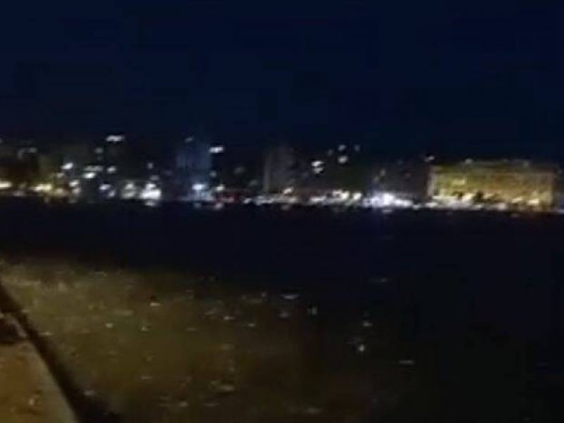 Θεσσαλονίκη: Τα ψάρια βγήκαν στη Στεριά  (video)