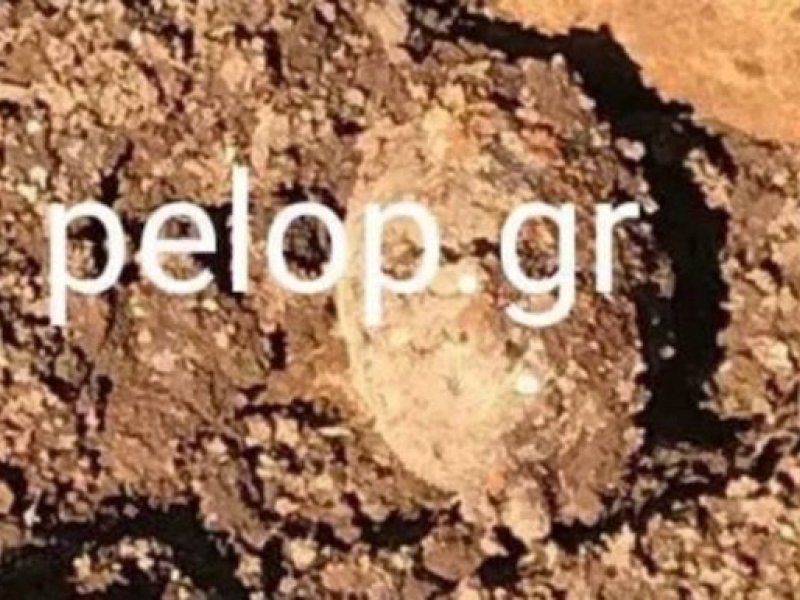Αίγιο: Εντοπίστηκε χειροβομβίδα απέναντι από Δημοτικό Σχολείο