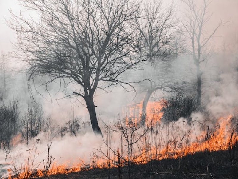 Κεφαλονιά: Συναγερμός στην Πυροσβεστική από φωτιά στην περιοχή Μαρκόπουλο