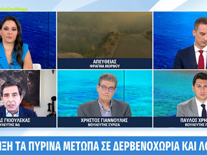 Φωτιές: 