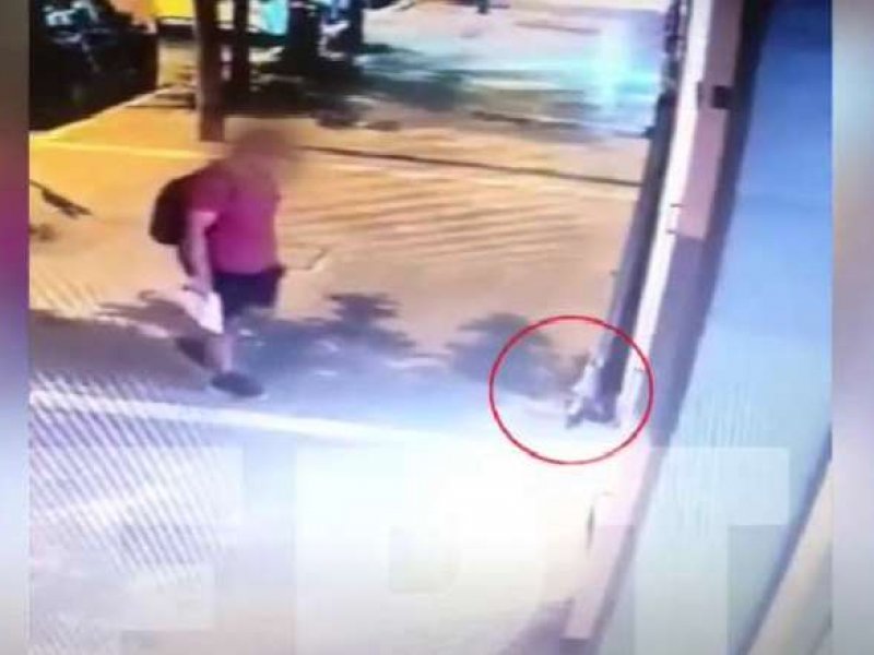 Θεσσαλονίκη: Ταυτοποιήθηκε ο άνδρας που σκότωσε γάτα – «Σε καμιά περίπτωση δεν εμπλέκομαι», λέει ο 40χρονος