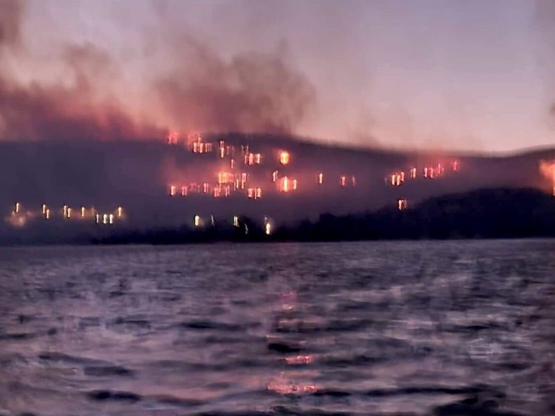 Φωτιά στην Άμφισσα: Έφτασαν οι φλόγες στην Ιτέα – Απειλούνται εργοστάσια