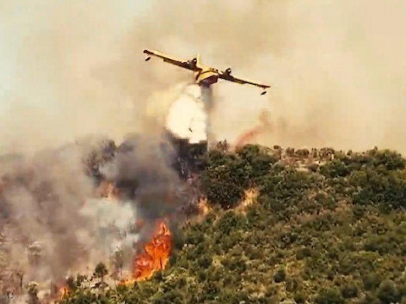 Φωτιά στην Ηλεία: Μήνυμα από το 112 για εκκένωση 4 οικισμών προς Αρχαία Ολυμπία