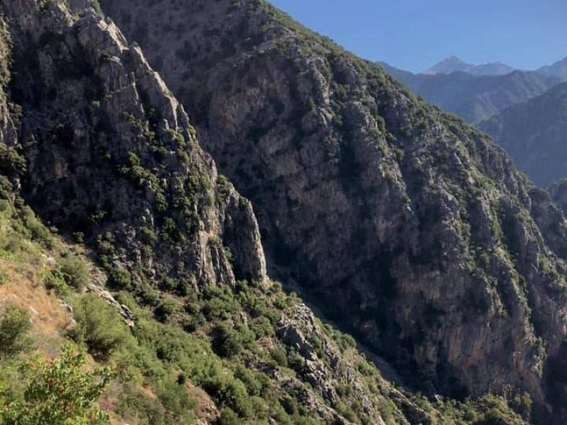  Ταΰγετος: Νεκρός εντοπίστηκε ο 64χρονος που αγνοείτο από τις 18 Αυγούστου