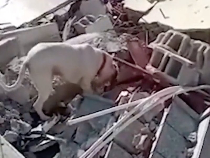 Άλλο ένα θαύμα στην Τουρκία: Άνδρας ανασύρθηκε ζωντανός από τα συντρίμμια, 11 μέρες μετά τον φονικό σεισμό